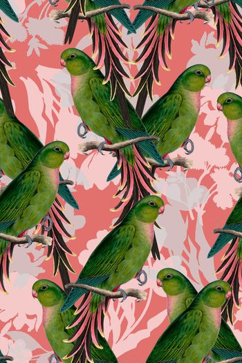 481486-欧式复古鹦鹉花鸟图案