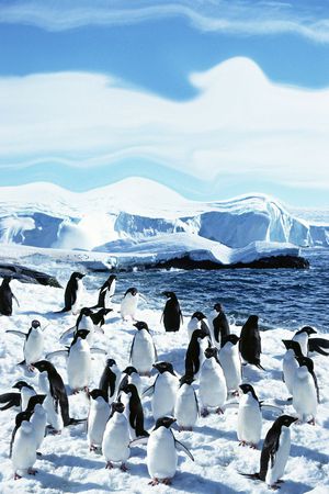 冰雪印花华亿平台图片