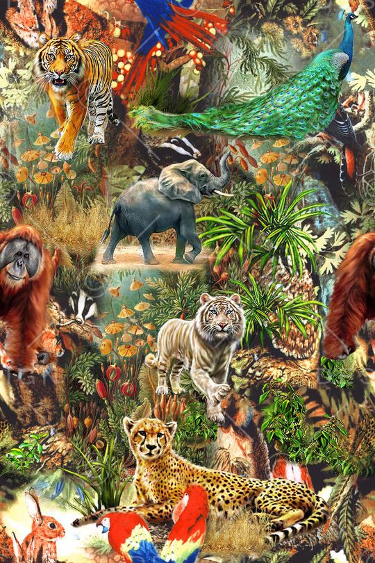 热带印花华亿平台图片