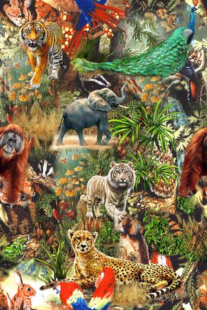 热带印花华亿平台图片