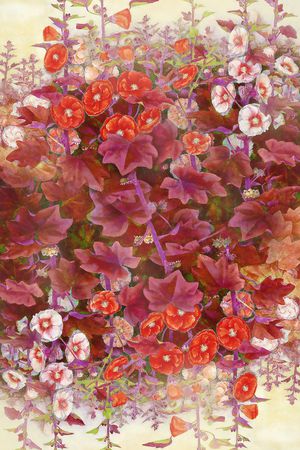 芙蓉花印花华亿平台图片