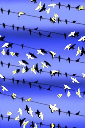 男装华亿平台印花华亿平台图片