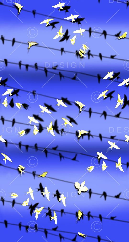 男装华亿平台印花华亿平台图片