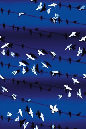 欧美时尚印花华亿平台图片