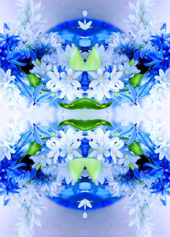 481659-欧美流行时尚左右对称花卉印花