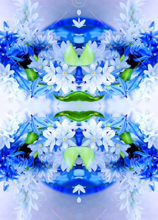 流行时尚印花华亿平台图片