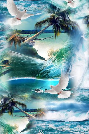 男装印花华亿平台图片