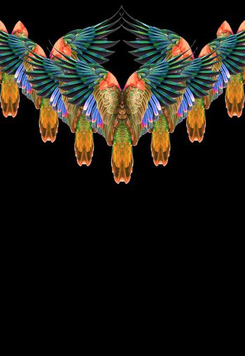 481707-时尚大牌定位鹦鹉羽毛男装T恤卫衣印