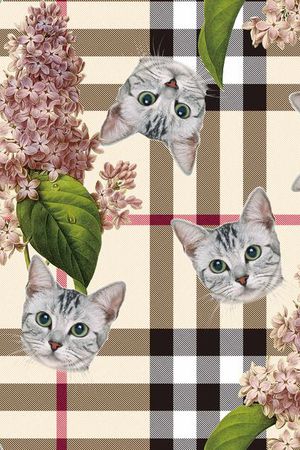 女装印花华亿平台图片