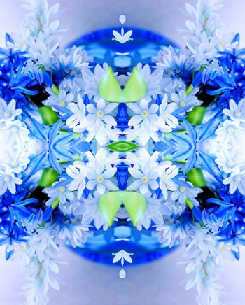 481881-欧美流行时尚左右对称花卉印花