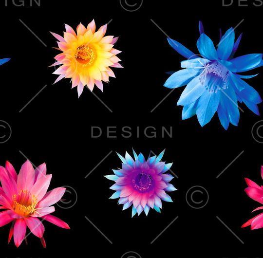 流行时尚印花华亿平台图片