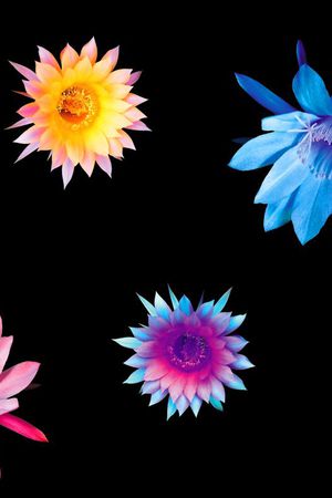 流行时尚印花华亿平台图片