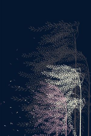 经典印花华亿平台图片