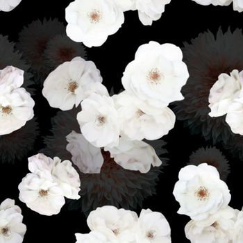 482151-白色黑底纯洁花朵