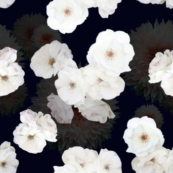 482152-白色黑底纯洁花朵