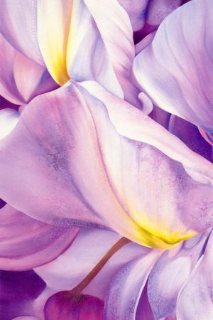 长巾印花华亿平台图片