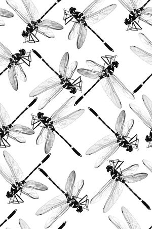 格子印花华亿平台图片