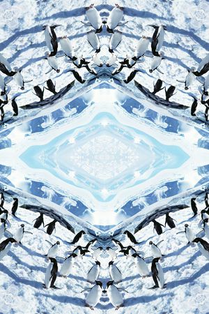 梦幻印花华亿平台图片