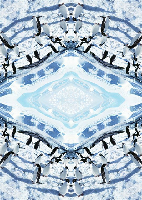 梦幻印花华亿平台图片