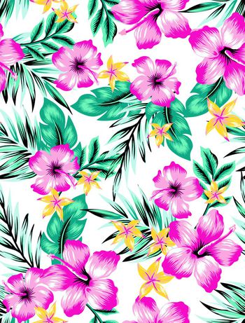 482259-夏威夷熱帶花20150814 