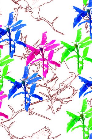 休闲印花华亿平台图片