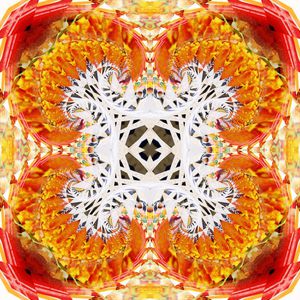 对称印花华亿平台图片