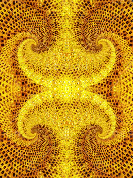 贝壳形印花华亿平台图片