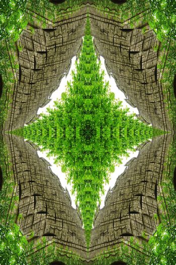 482457-IMG_3241副本