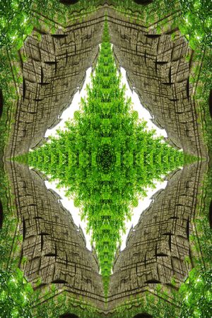 对称印花华亿平台图片