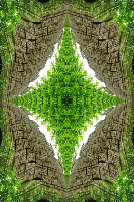 对称印花华亿平台图片