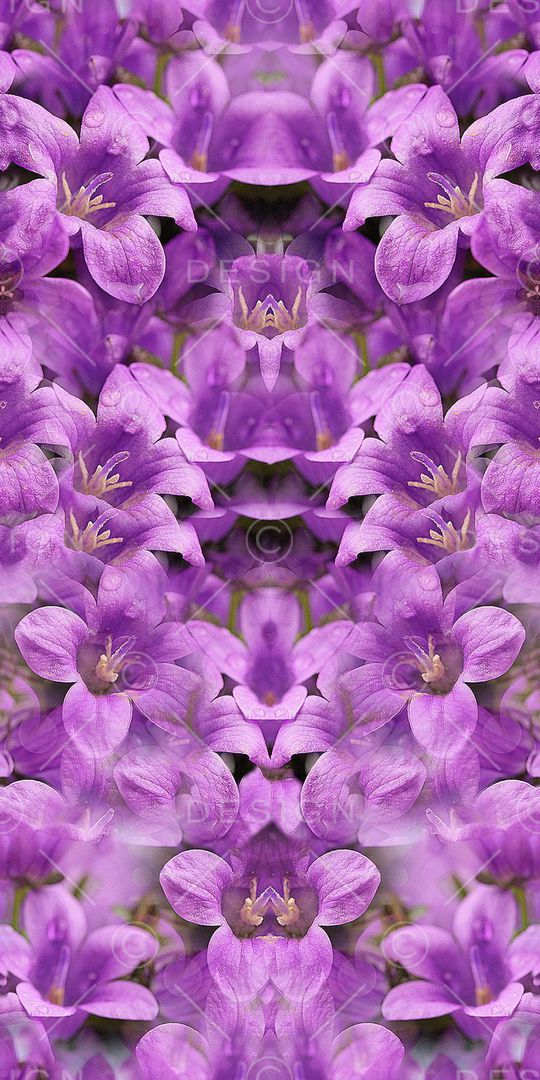 时尚印花华亿平台图片