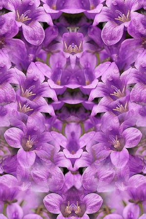 时尚印花华亿平台图片