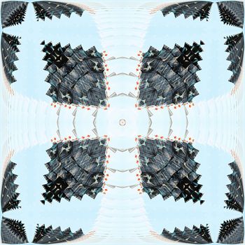 482481-IMG_3530副本0