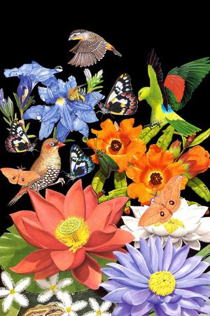 潮流时尚印花华亿平台图片