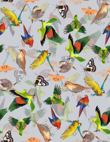 482514-	时尚秋冬复古鹦鹉鸟类手绘蝴蝶印花