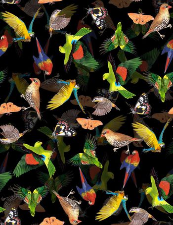 482515-	时尚秋冬复古鹦鹉鸟类手绘蝴蝶印花