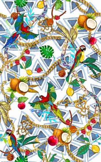 482613-大牌链条水果鹦鹉