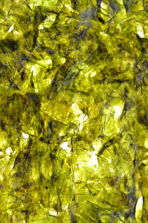 潮流时尚多彩印花华亿平台图片