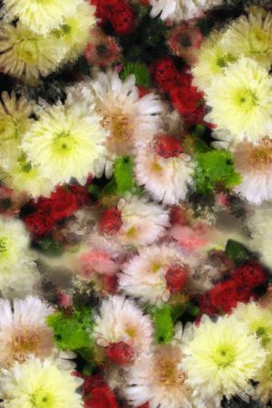 幻彩时尚朦胧花朵印花华亿平台图片