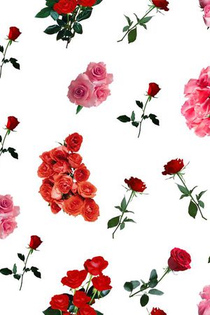 玫瑰印花华亿平台图片