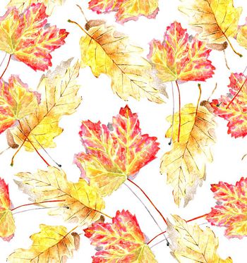 482750-时尚潮流清新靓丽绘画花卉