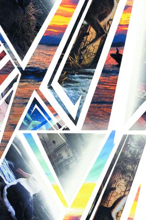 流行时尚印花华亿平台图片