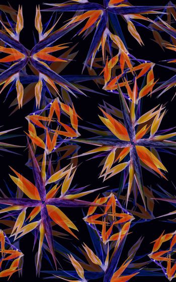 482821-大牌几何天堂鸟鹤望兰