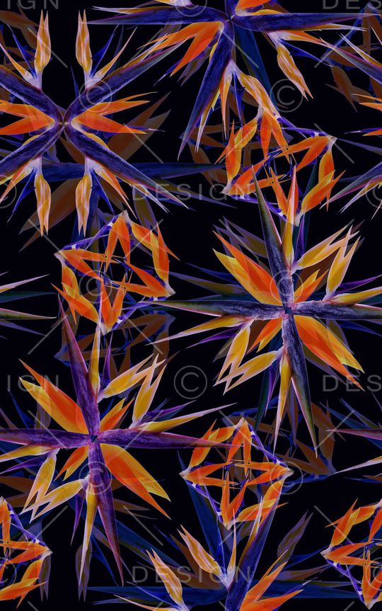 大牌印花华亿平台图片