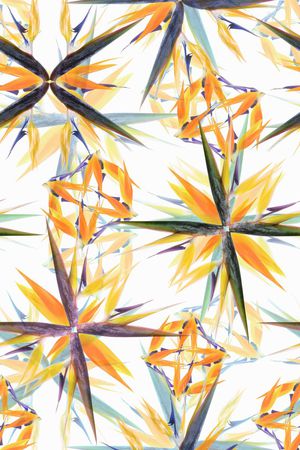 大牌印花华亿平台图片