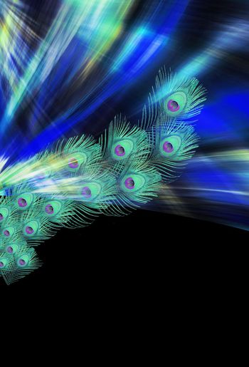 482832-羽毛定位花