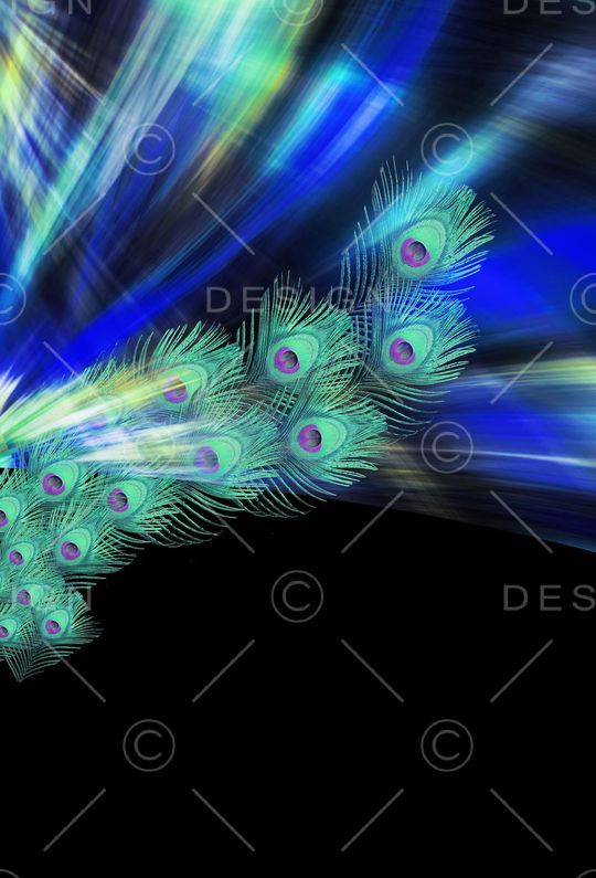 孔雀羽毛定位花印花华亿平台图片