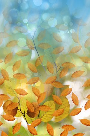 服装印花华亿平台图片