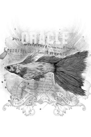 时尚印花华亿平台图片