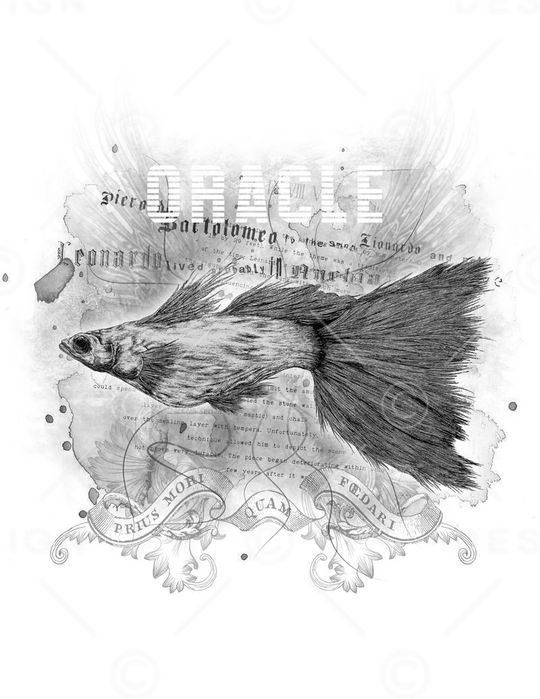 时尚印花华亿平台图片